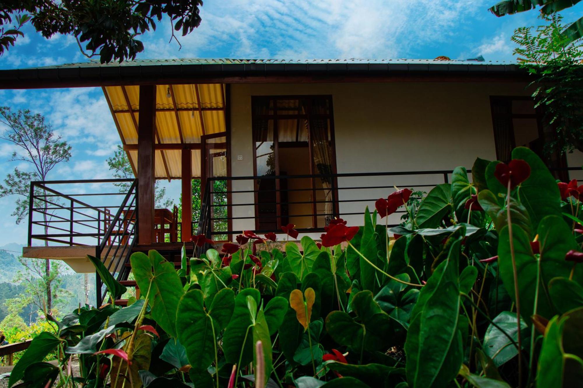 Nine Arch Wood Cabin เอลลา ภายนอก รูปภาพ