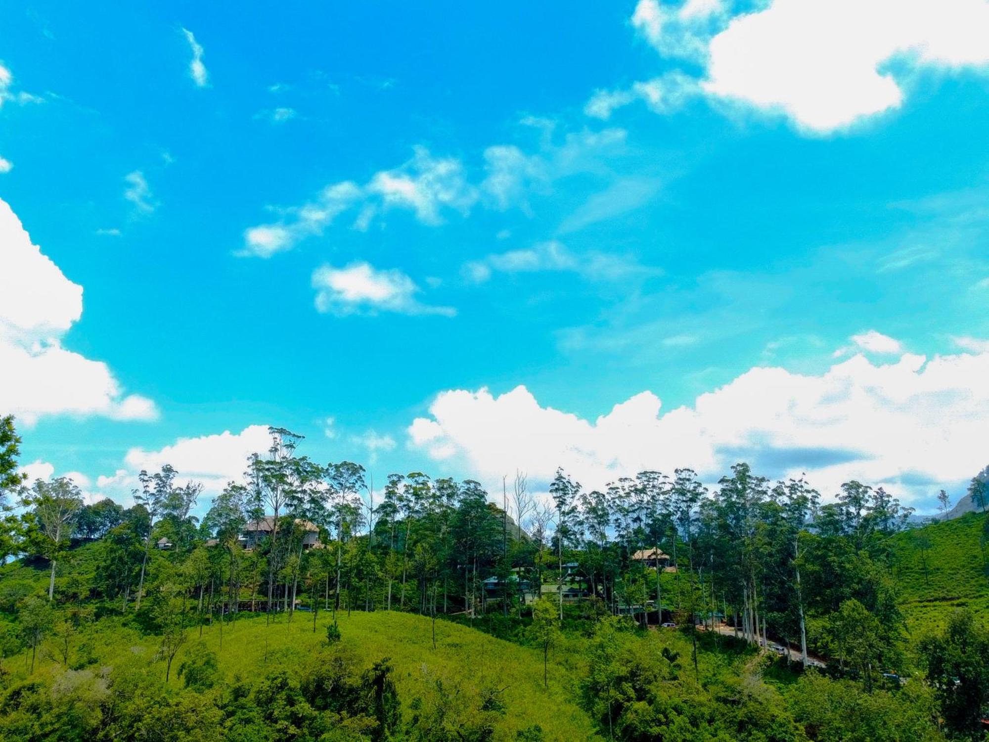 Nine Arch Wood Cabin เอลลา ภายนอก รูปภาพ