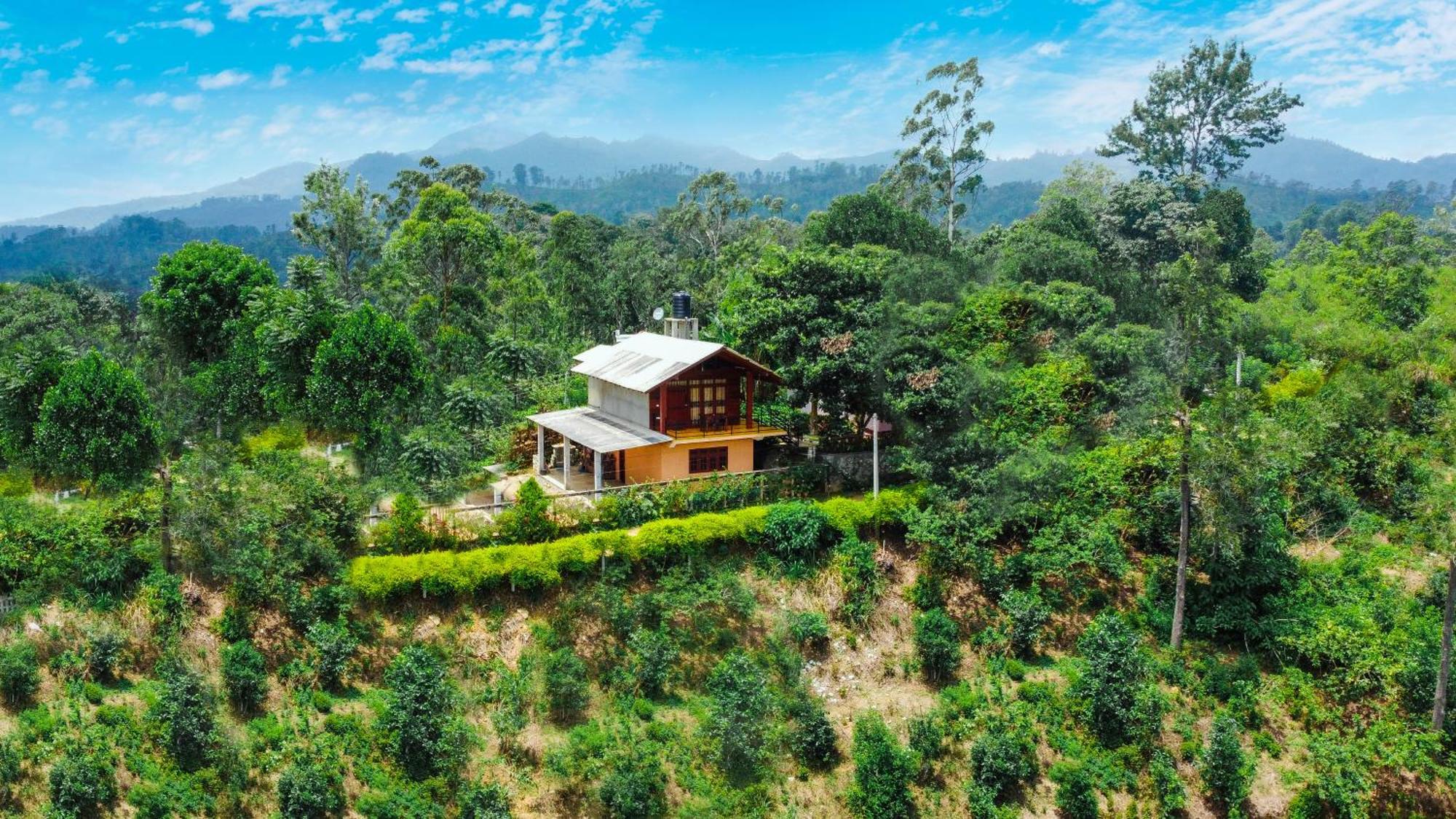 Nine Arch Wood Cabin เอลลา ภายนอก รูปภาพ